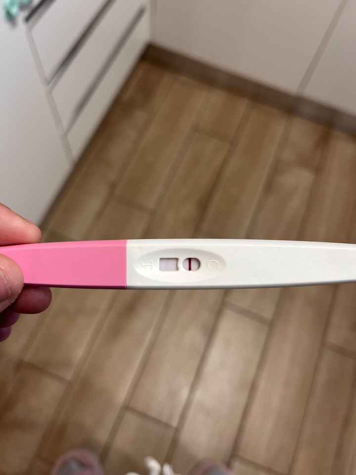 Per chi non le aspetta ottobre, novembre e dicembre 2024🍀🐞 - 1