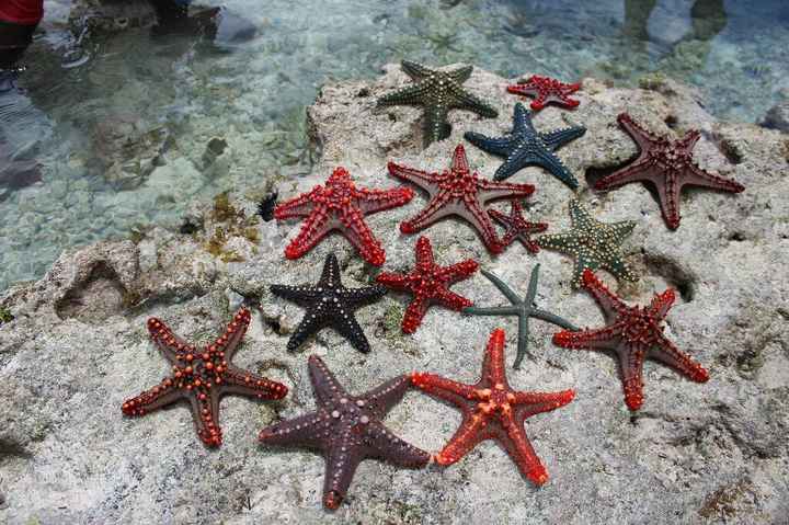  Luna di miele 😍 - 3