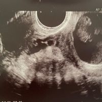 🍀Future mamme Luglio 2022🍀 - 1