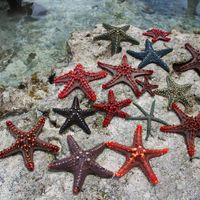  Luna di miele 😍 - 3