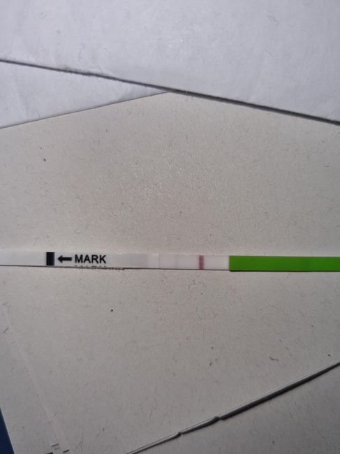 Chi non le aspetta per Aprile 2022 💓🍀🤞🏼 - 2