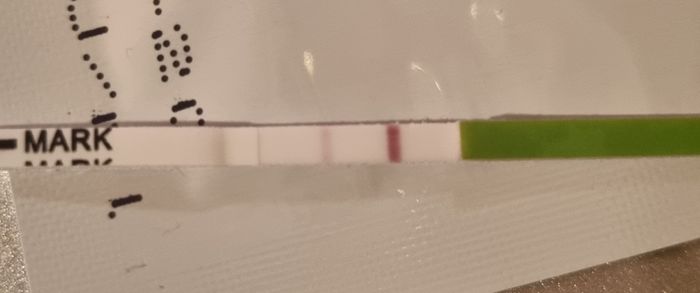 Chi non le aspetta per Aprile 2022 💓🍀🤞🏼 - 1