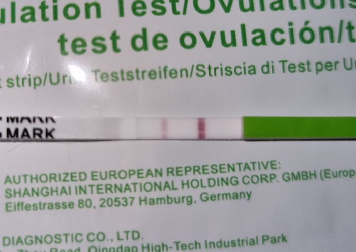 Chi non le aspetta per Aprile 2022 💓🍀🤞🏼 2