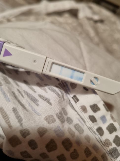 Chi non le aspetta per Novembre 2022🍀🤞❤️🤞🍀 - 1