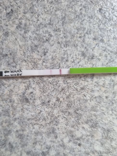 Chi non le aspetta per Novembre 2022🍀🤞❤️🤞🍀 - 1