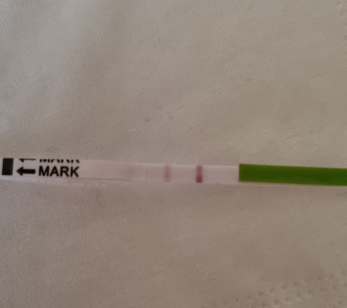 Chi non le aspetta per Novembre 2022🍀🤞❤️🤞🍀 - 2