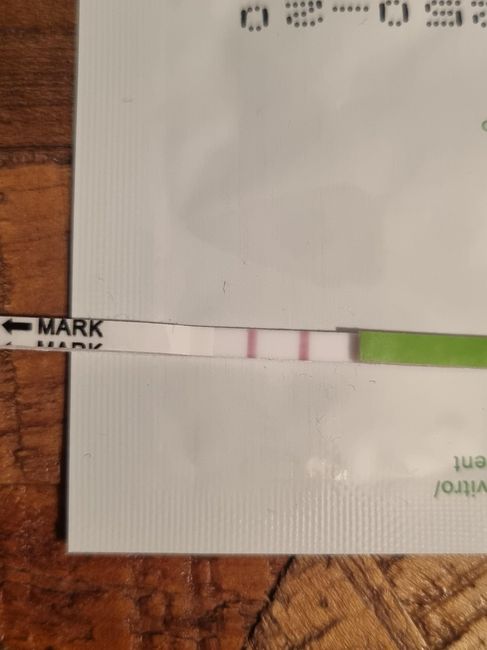 Chi non le aspetta per Novembre 2022🍀🤞❤️🤞🍀 - 1