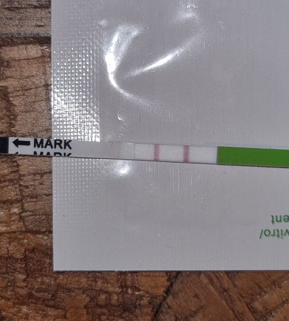 Chi non le aspetta per Novembre 2022🍀🤞❤️🤞🍀 - 2