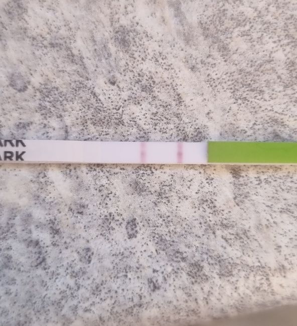 Chi non le aspetta per Novembre 2022🍀🤞❤️🤞🍀 - 1