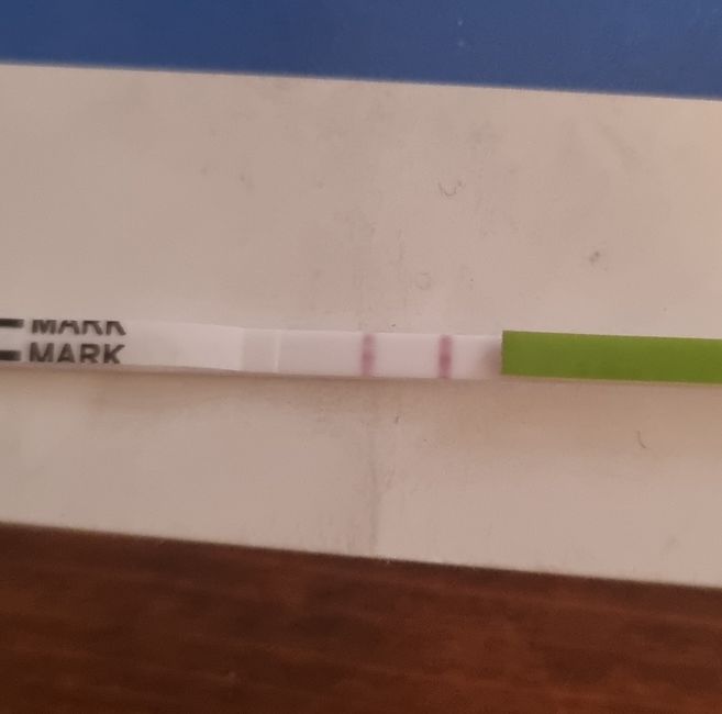 Chi non le aspetta per Novembre 2022🍀🤞❤️🤞🍀 - 2