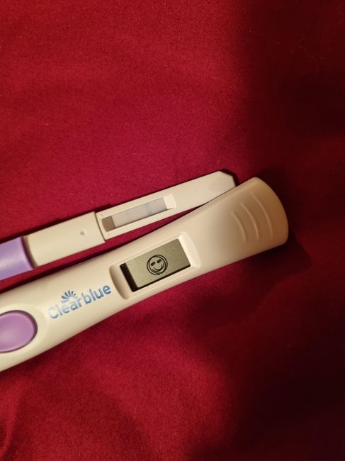 Chi non le aspetta per Novembre 2022🍀🤞❤️🤞🍀 - 1