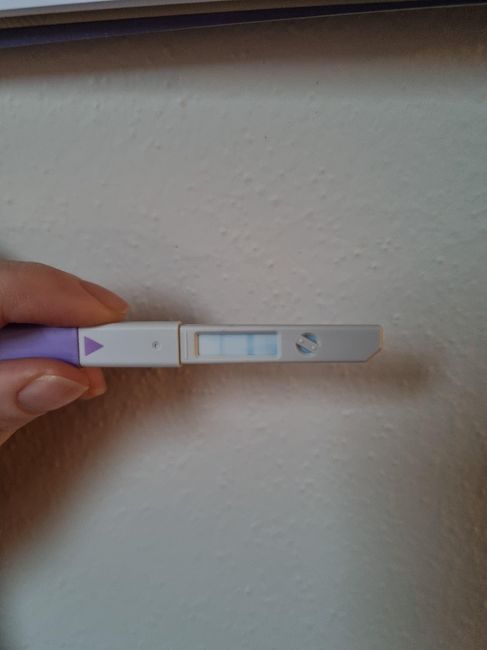 Chi non le aspetta per Novembre 2022🍀🤞❤️🤞🍀 - 1