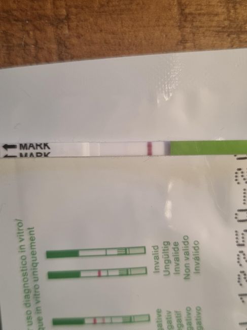 Chi non le aspetta per Novembre 2022🍀🤞❤️🤞🍀 - 2