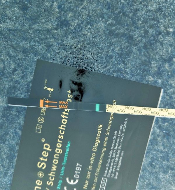 Chi non le aspetta per Novembre 2022🍀🤞❤️🤞🍀 - 1