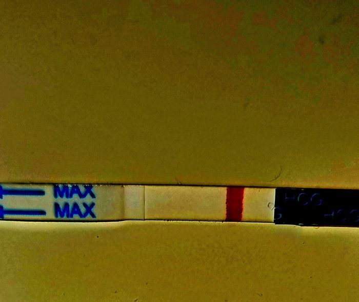 Chi non le aspetta per Novembre 2022🍀🤞❤️🤞🍀 - 2