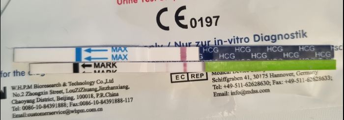 Chi non le aspetta per Novembre 2022🍀🤞❤️🤞🍀 - 1