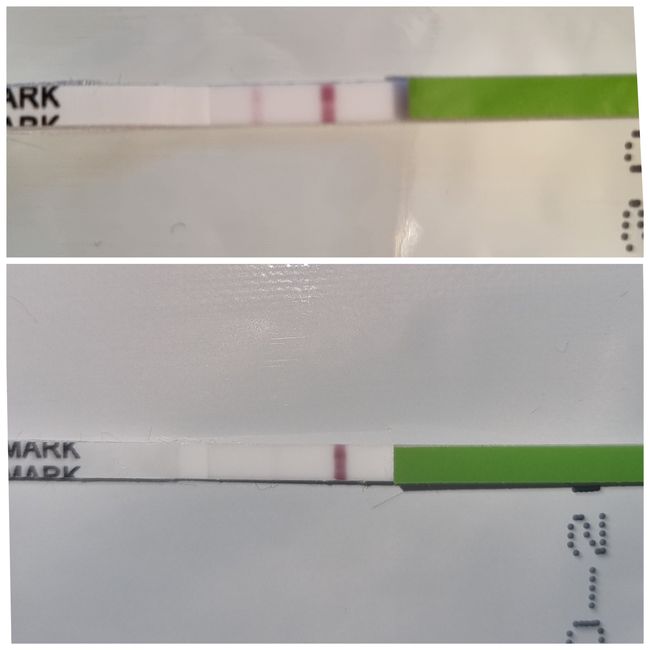 Chi non le aspetta per Novembre 2022🍀🤞❤️🤞🍀 - 1