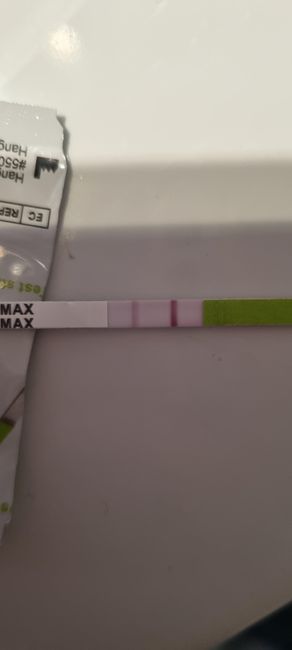 Chi non le aspetta per febbraio 2023 💪🏻❄️🍀🐞🥰 - 1