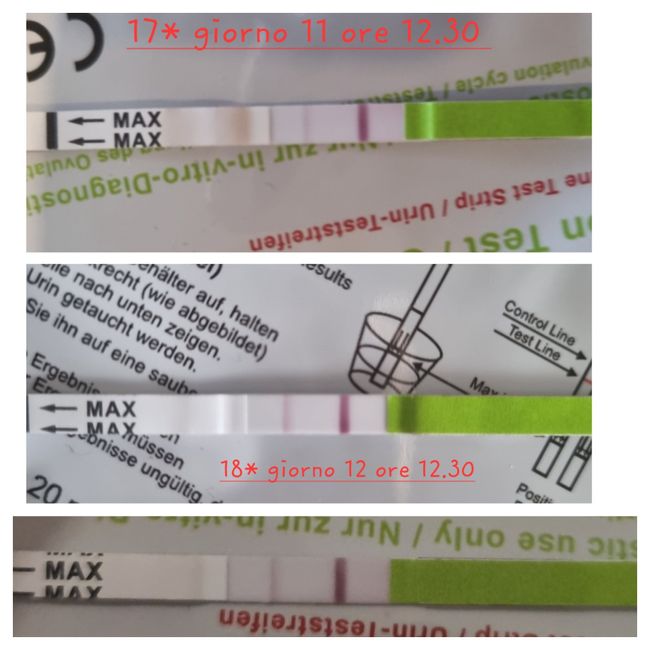 Chi non le aspetta per Dicembre 2023 😬🎁🎄❄️ - 1