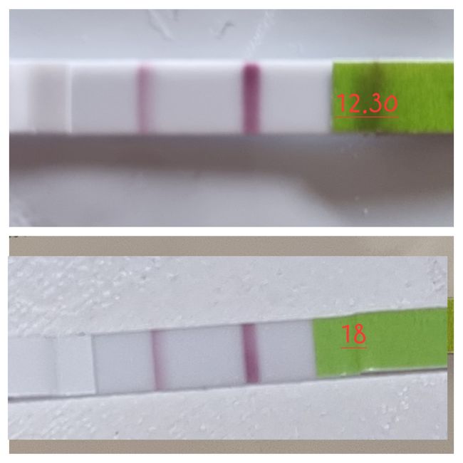 Chi non le aspetta per Dicembre 2023 😬🎁🎄❄️ - 1
