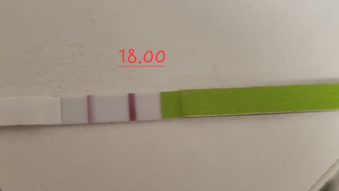 Chi non le aspetta per Dicembre 2023 😬🎁🎄❄️ 3