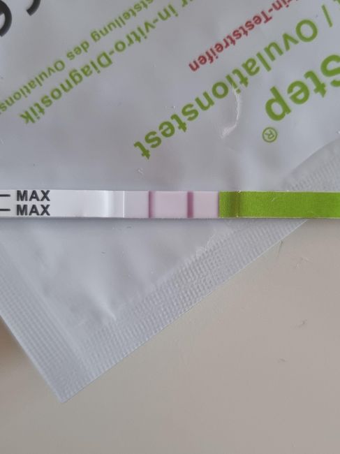 Chi non le aspetta per Dicembre 2023 😬🎁🎄❄️ 2