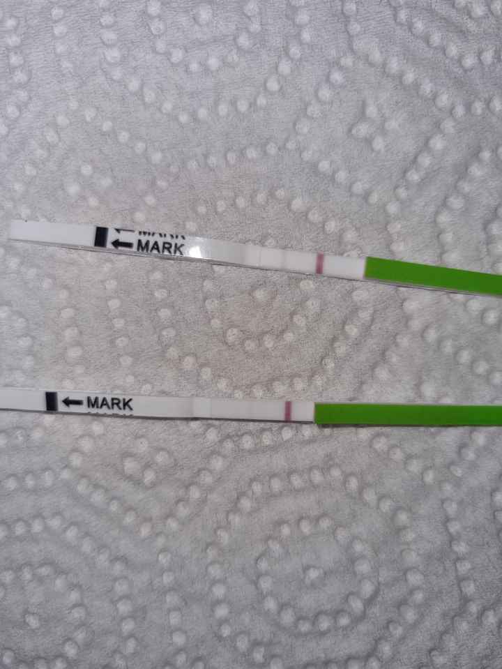 Chi non le aspetta per Maggio 2022 🙏❤️ - 1