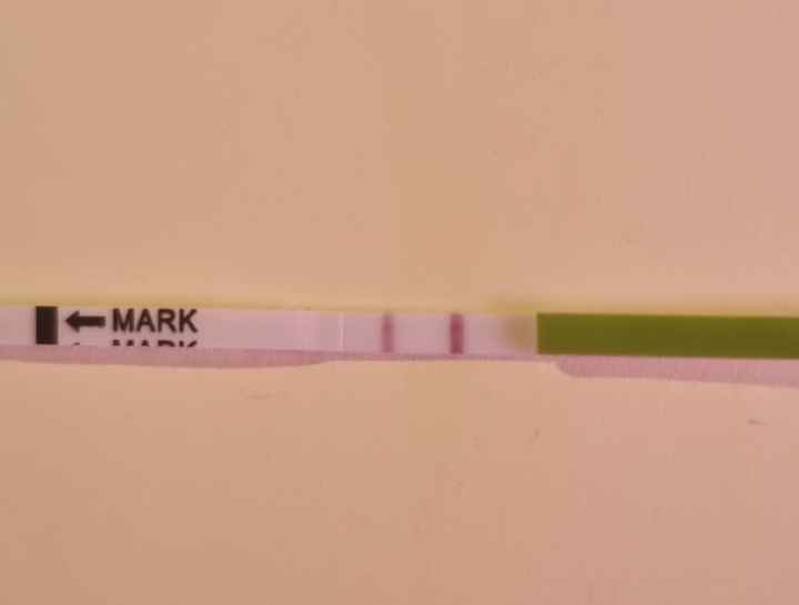 Chi non le aspetta per Aprile 2022 💓🍀🤞🏼 - 1