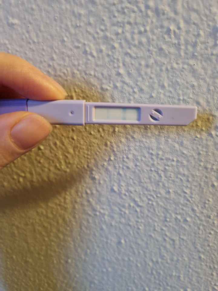 Parere test ovulazione - 2