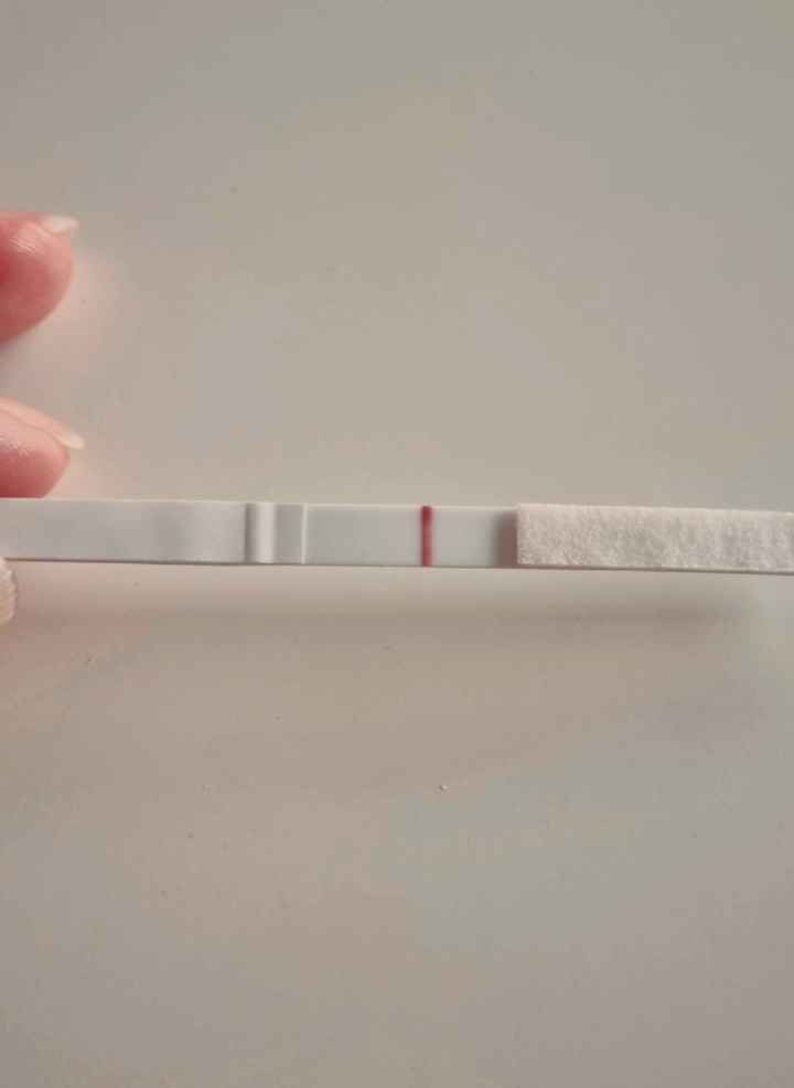 Per chi non le aspetta Luglio, Agosto Settembre e Ottobre 2024🍀🐞 - 1