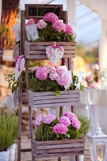 Cassette della frutta - 4