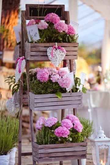 Cassette della frutta - 4