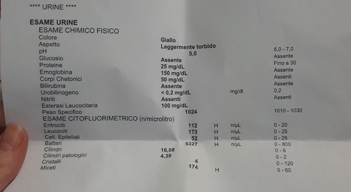 Qualcuno mi aiuti per favore! - 3