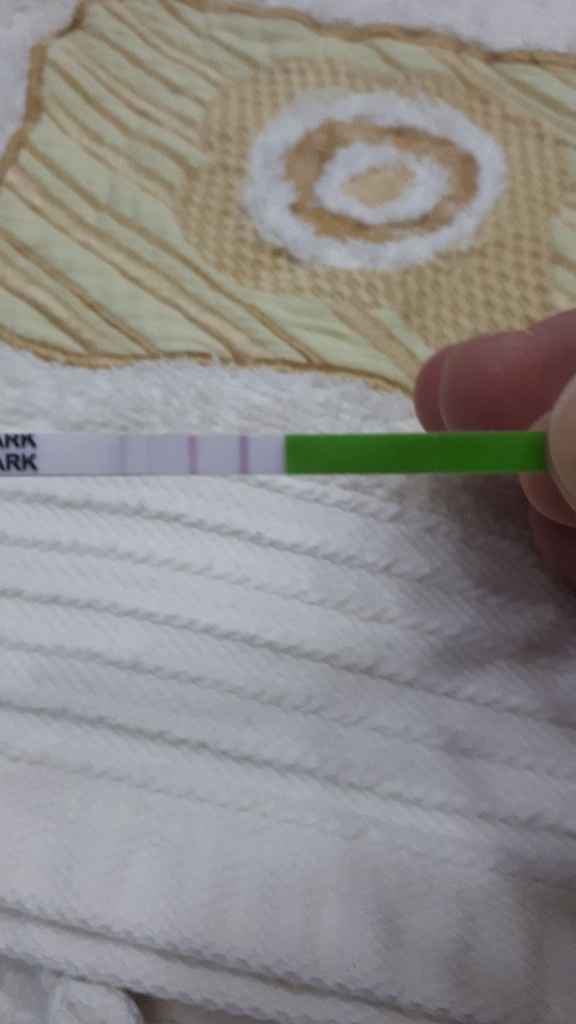 Ce l'abbiamo fatta? - 2