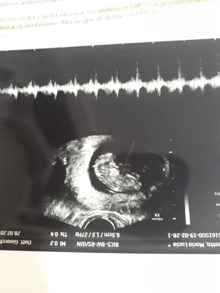 Future mamma settembre 2019 - 1