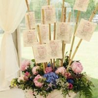 Tableau tema fiori ..vorrei dei consigli - 1