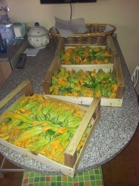 Le mie pietanzeee! - 2