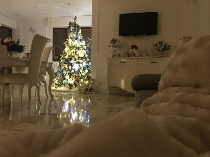 In ritardo... ma ecco le nostre foto natalizie ❤️ Primo anno da sposati - 4