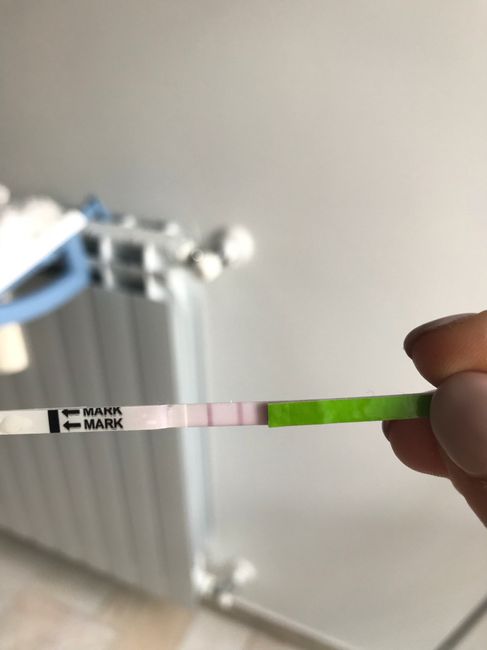 Curiosità canadese - 1