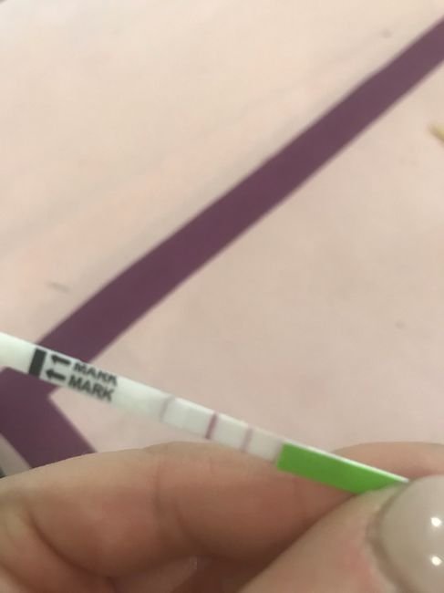 Curiosità canadese - 2