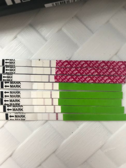 Aspiranti mamme Luglio2019 - 2