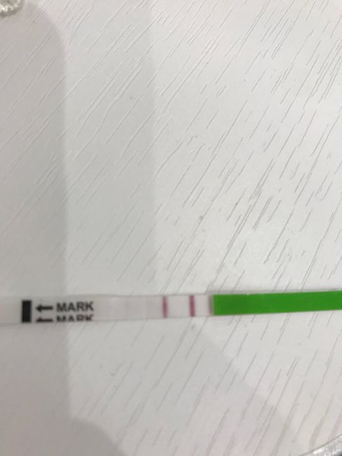 Test ovulazione eveline 4