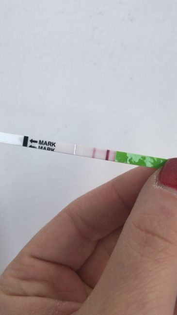 Chi non le aspetta per gennaio 2020 - 1