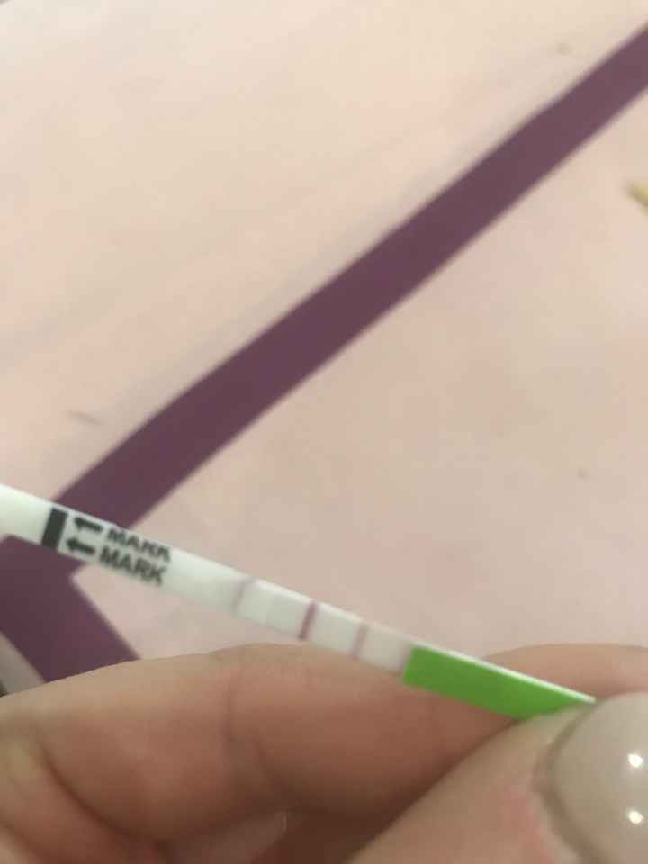 Curiosità canadese - 2