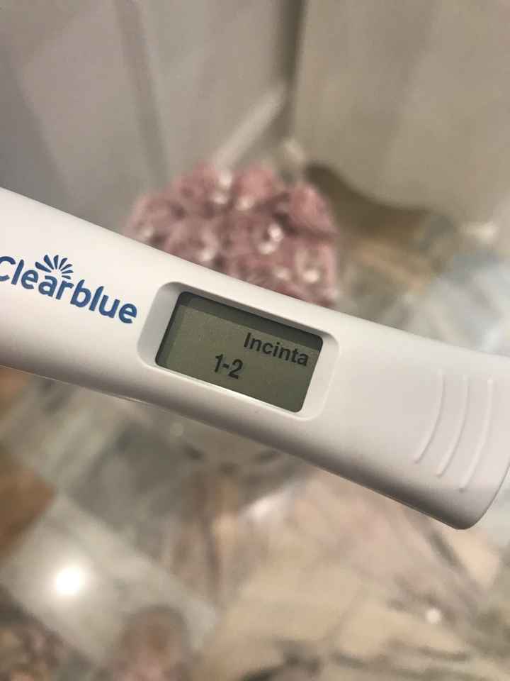 Chi non le aspetta per gennaio 2020 - 2