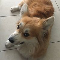 i nostri cuccioli😍 - 1