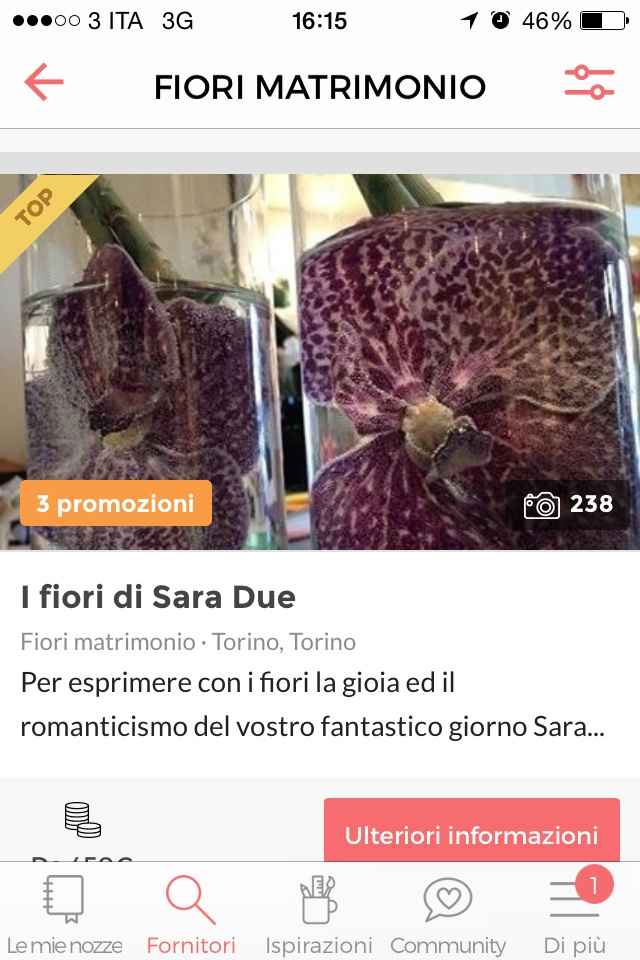 Quanto ci costa il fiorista?!! - 1