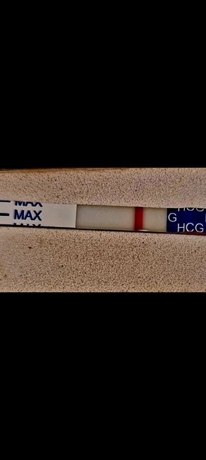 Chi non le aspetta per febbraio 2023 💪🏻❄️🍀🐞🥰 2