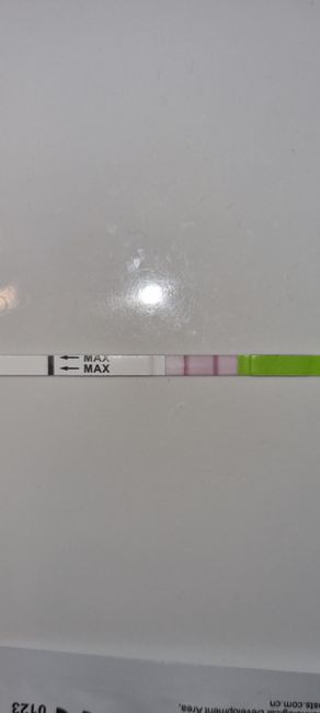 Chi non le aspetta per febbraio 2023 💪🏻❄️🍀🐞🥰 1