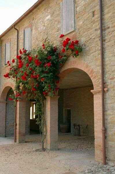 La villa in cui ci sposeremo - 10